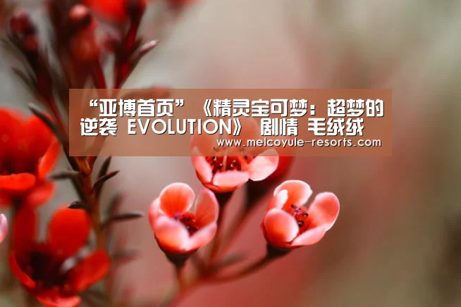 亚博官网