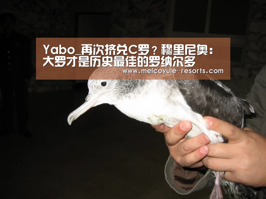 亚博首页