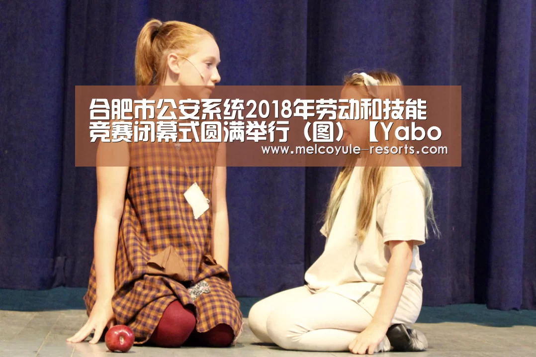 合肥市公安系统2018年劳动和技能竞赛闭幕式圆满举行（图）【Yabo】(图3)