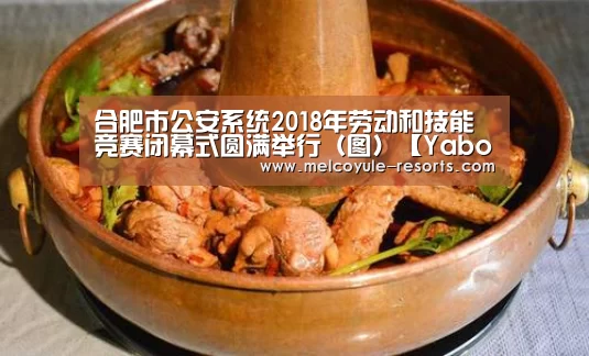 合肥市公安系统2018年劳动和技能竞赛闭幕式圆满举行（图）【Yabo】(图1)